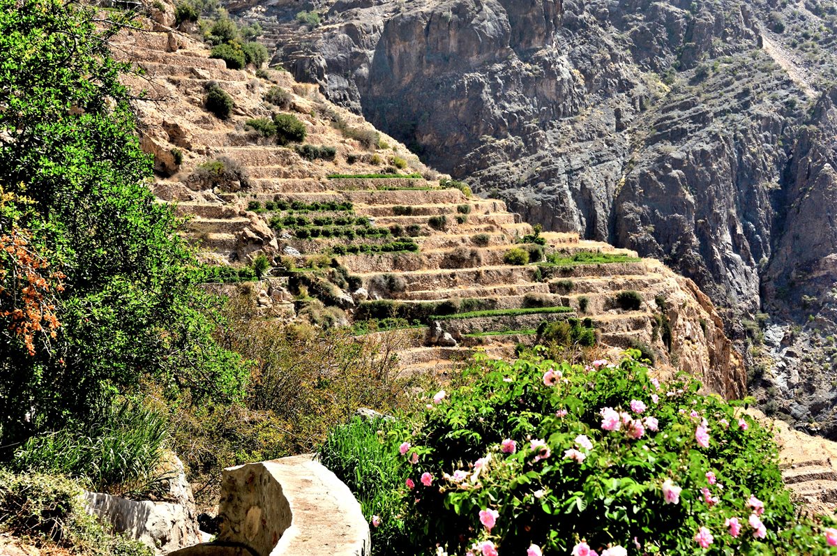 Oman - Jebel Akhdar