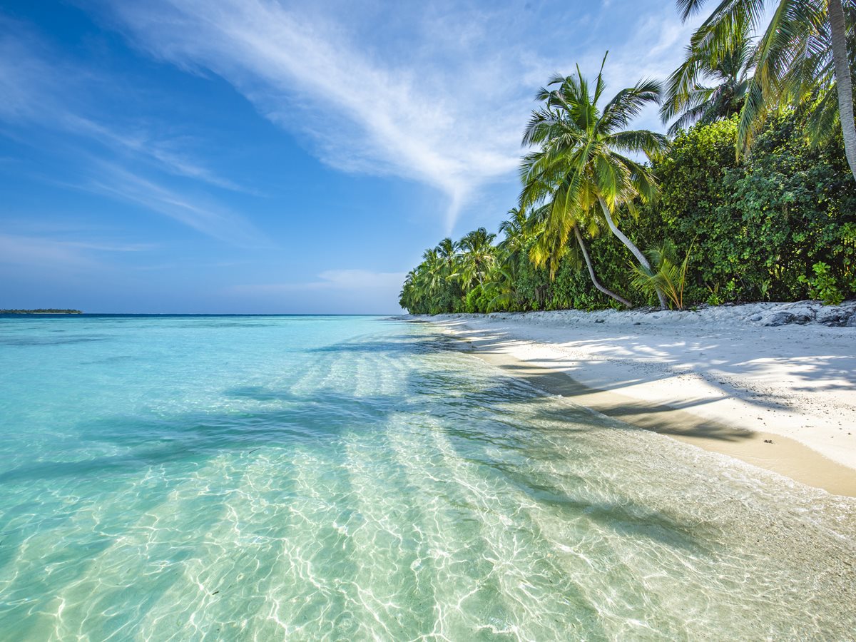 Maldive - plaja 2