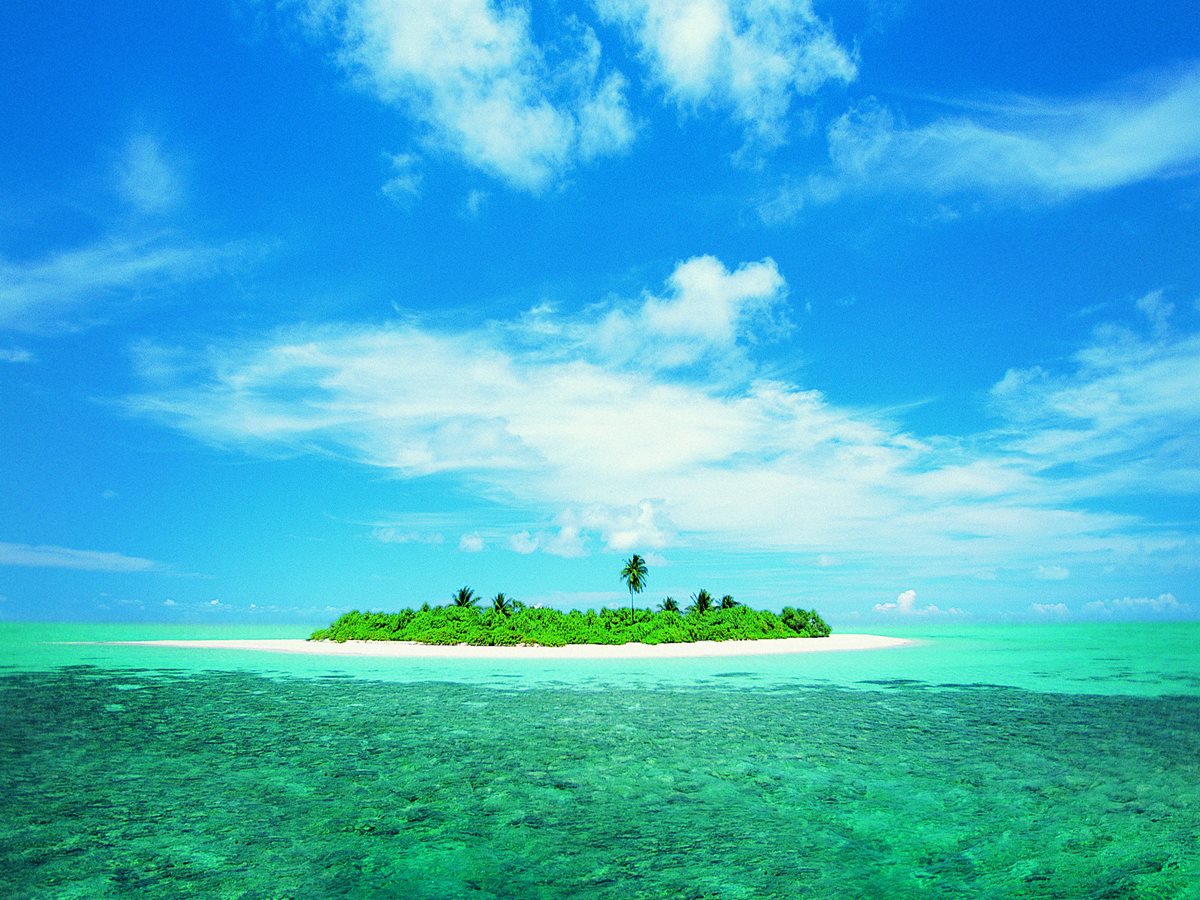 Maldive - insula