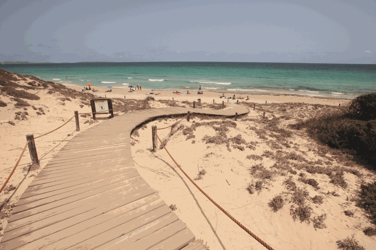 Ibiza 5 Ibiza 5