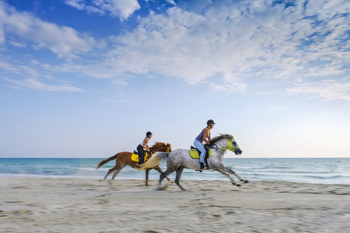 Sport Tunisia