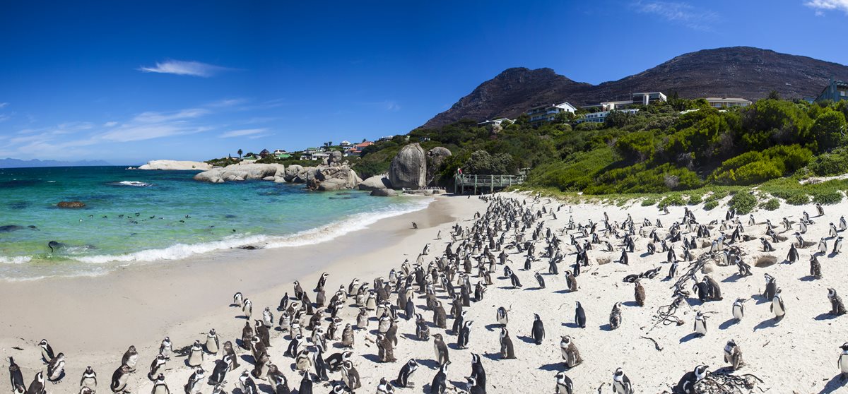 Cape Town 2 Cape Town 2