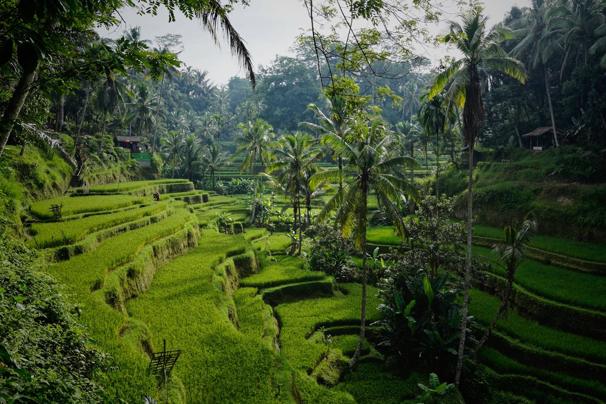 Bali 10