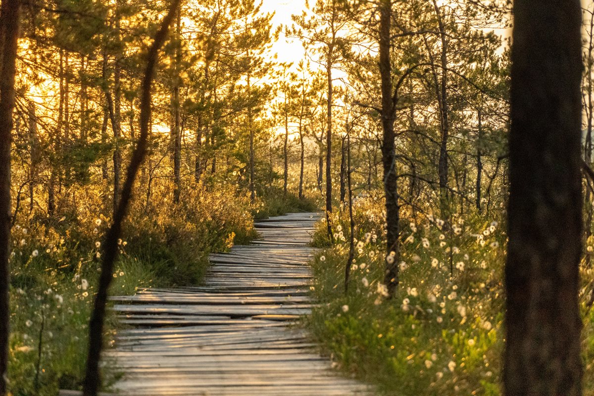 Estonia 2