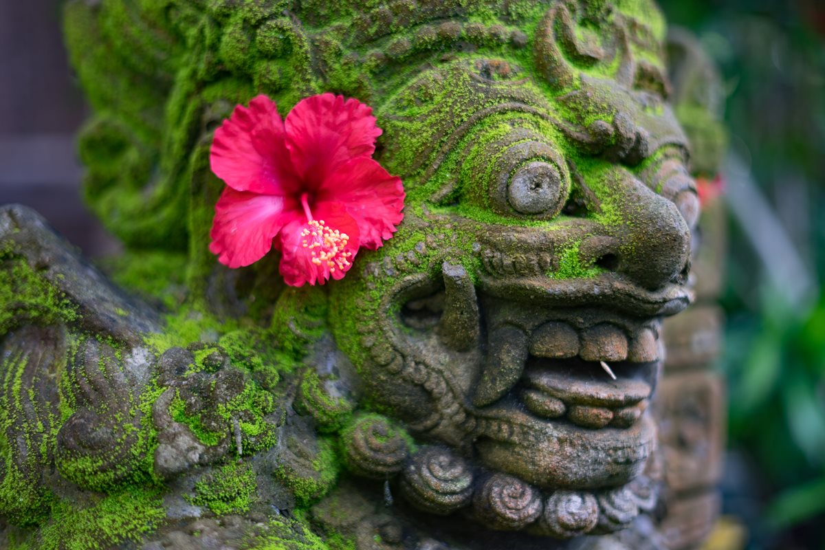 Kuta 1