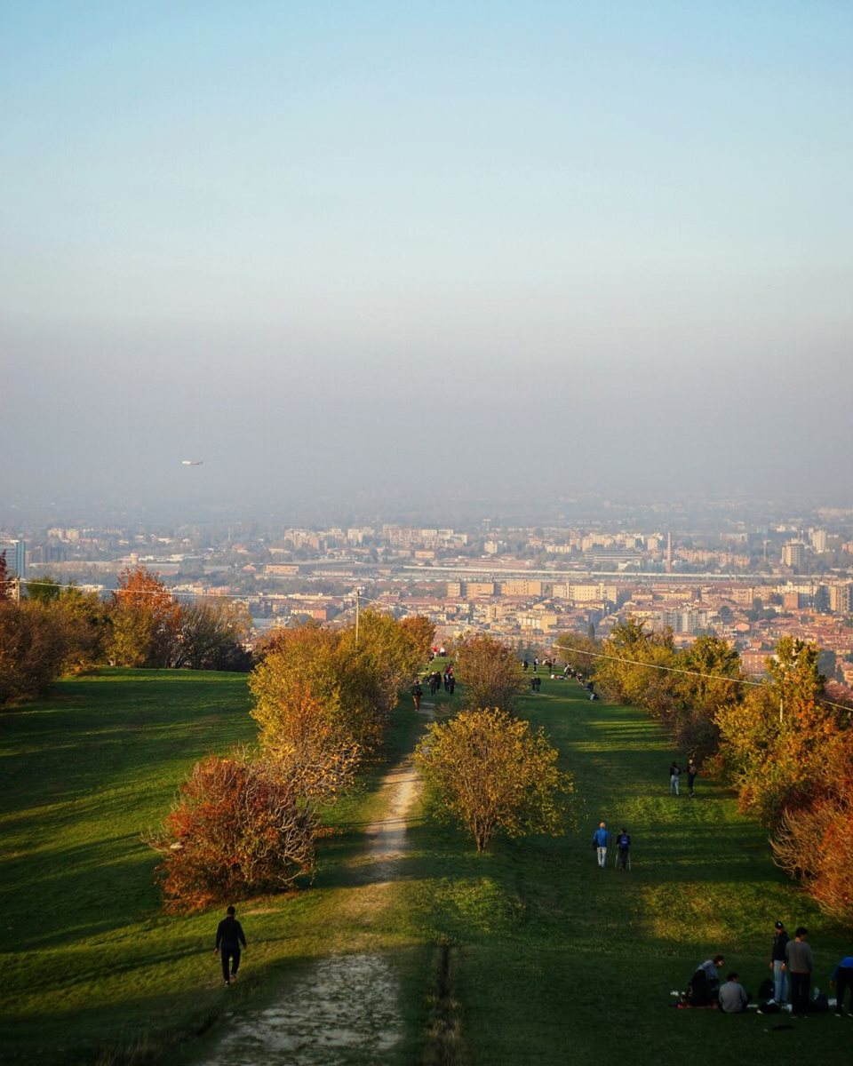 Bologna 8