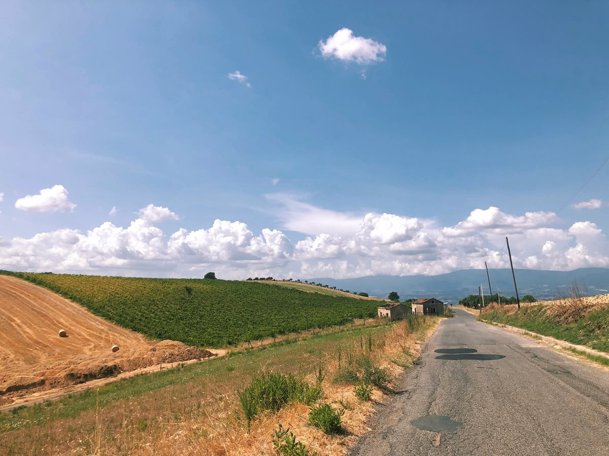 Calabria 4