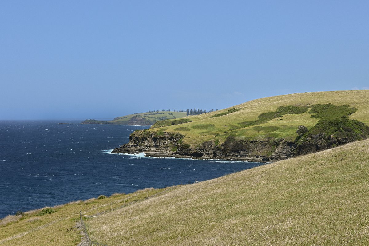 NSW 3