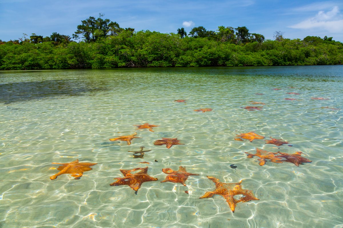 Colon Island