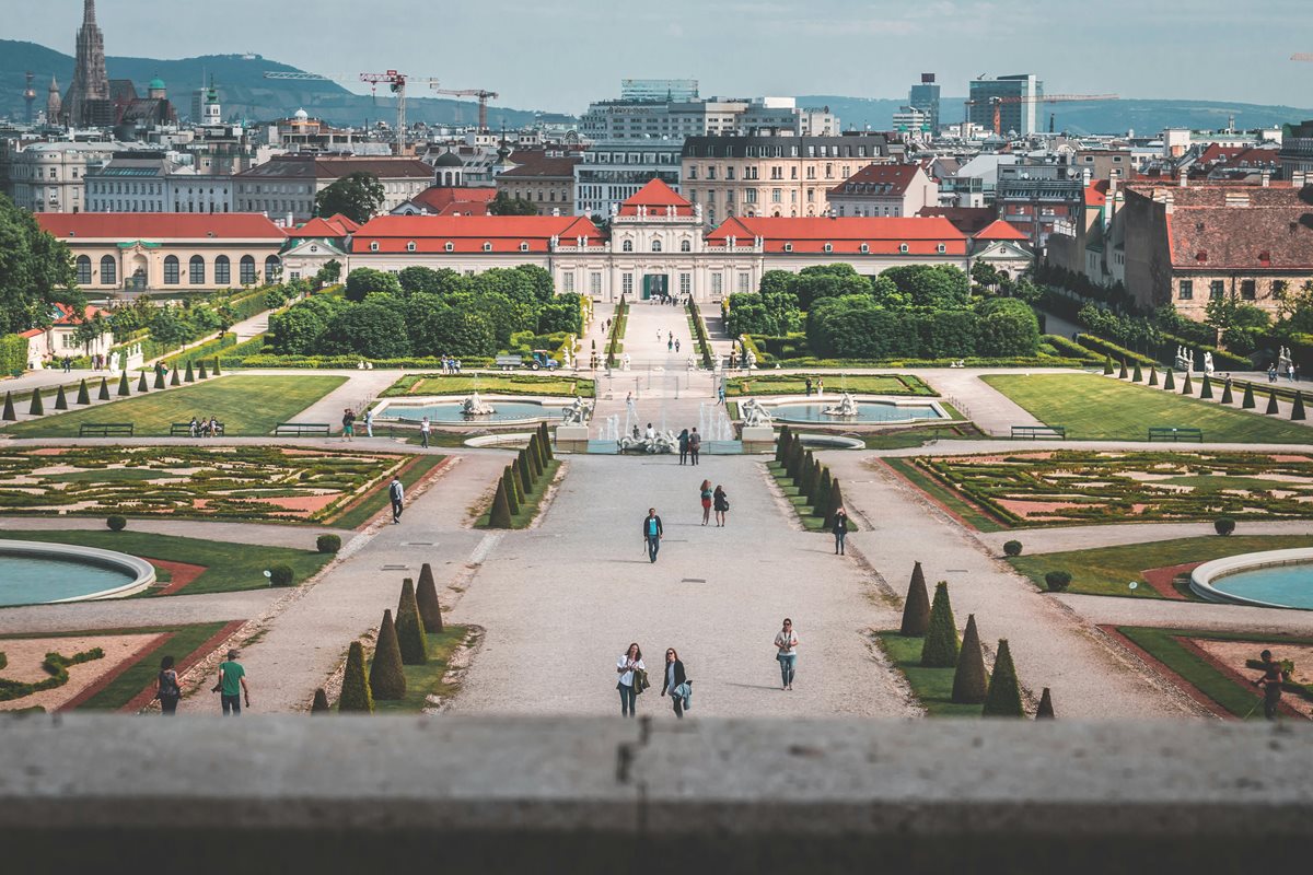 Viena 5