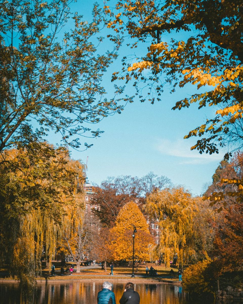 Massachusetts 9