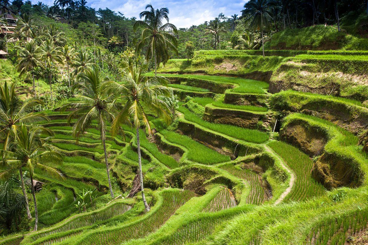 Bali 4
