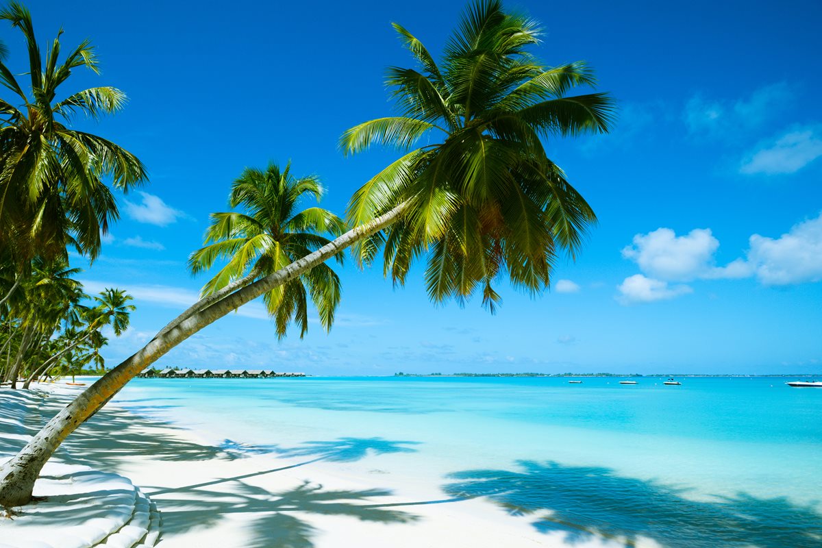 Plaja mauritius