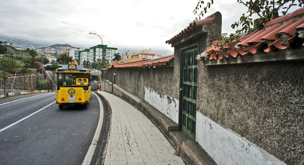 Puerto de la Cruz 10