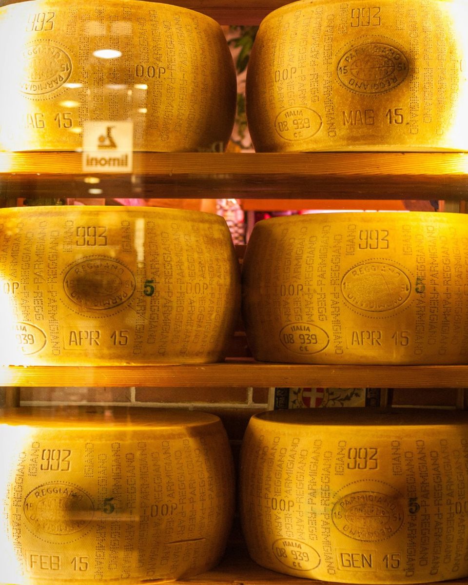 Bologna 6