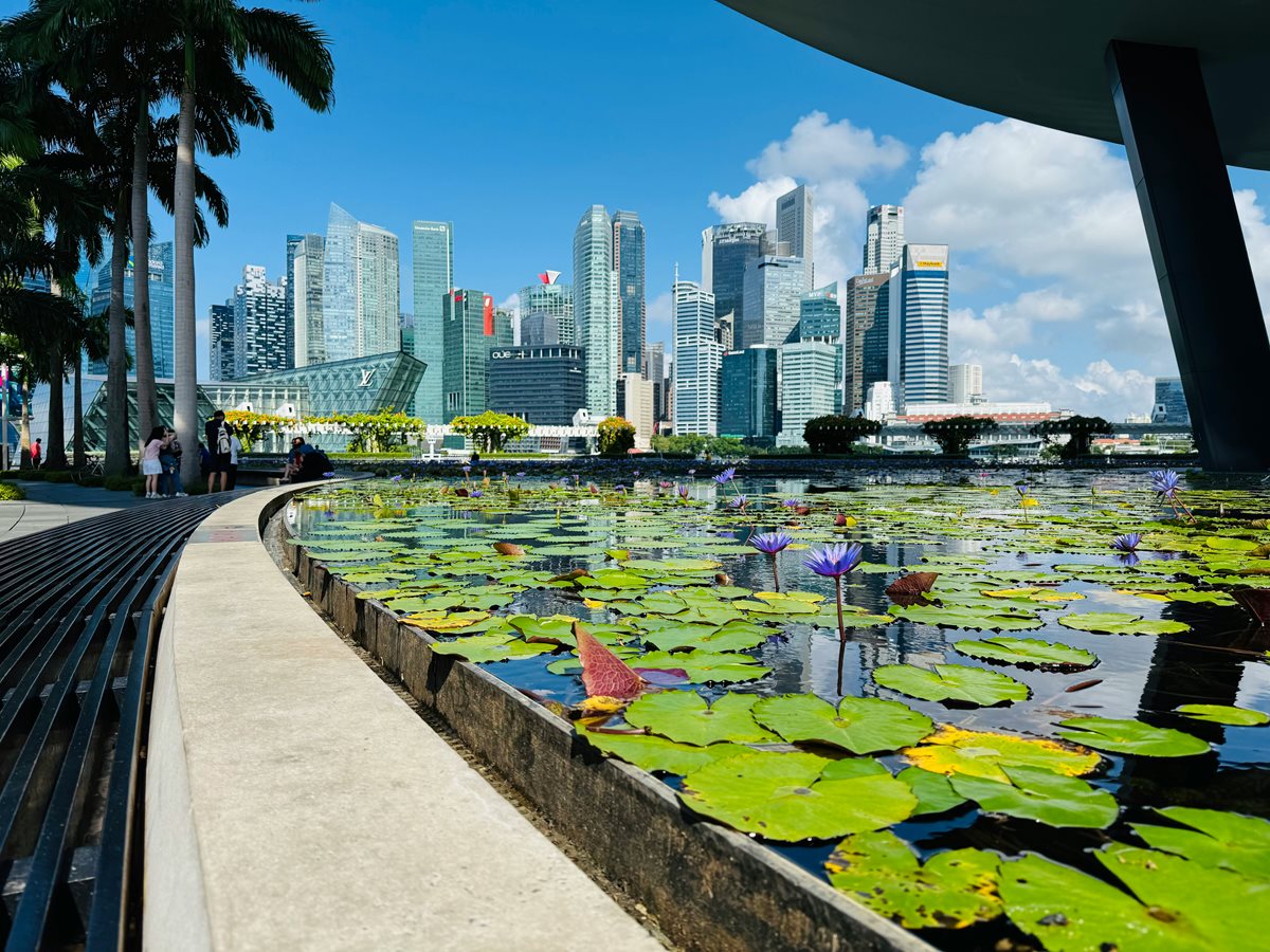 Singapore 5