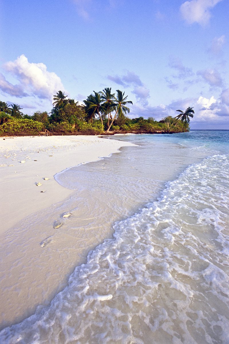 Barca in Ari Atoll Barca in Ari Atoll