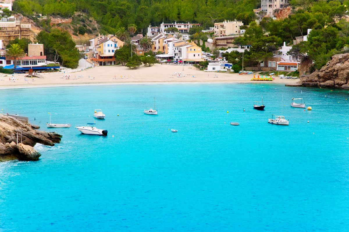 biza 1