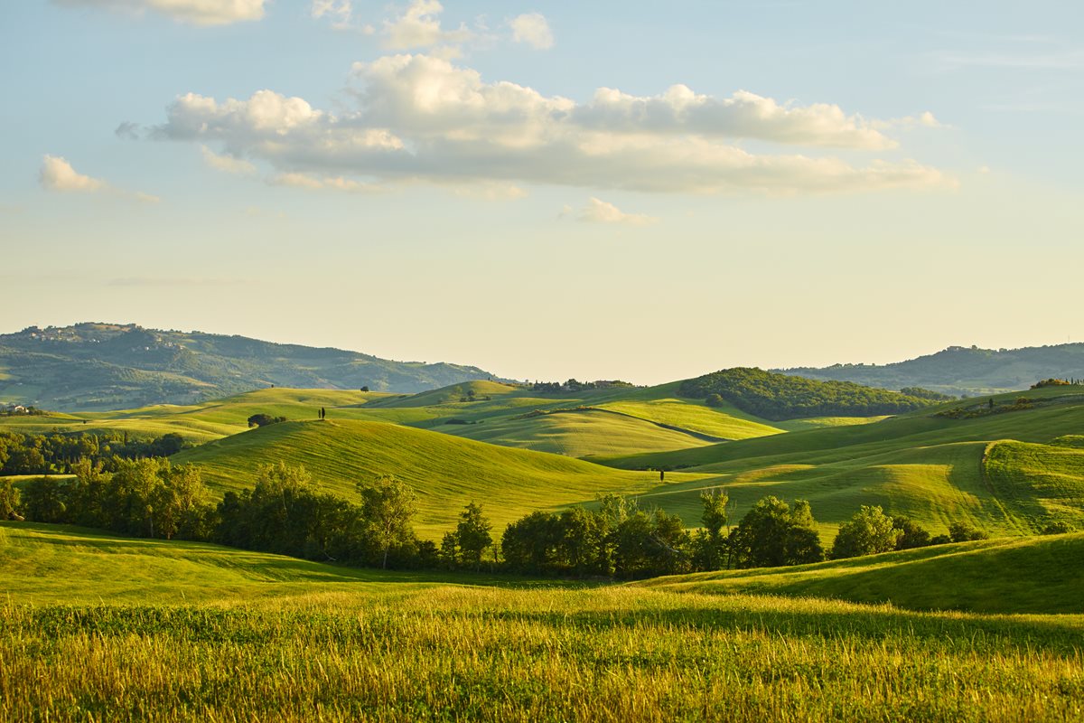 Istorie Toscana