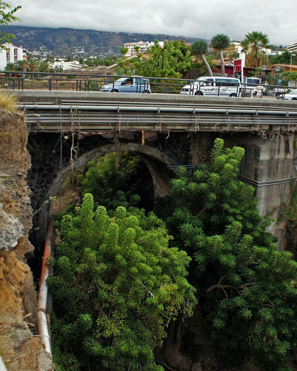 Puerto de la Cruz 14