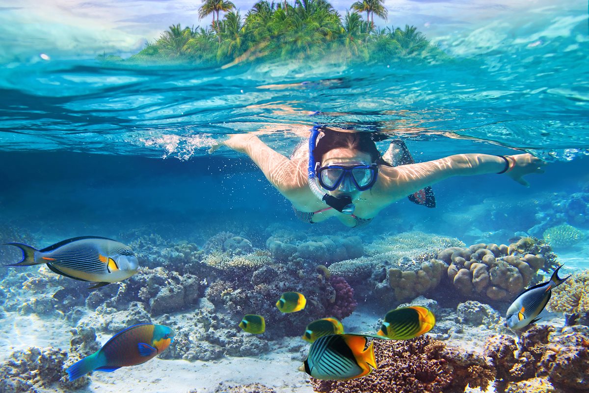 Watamu Snorkeling Watamu Snorkeling