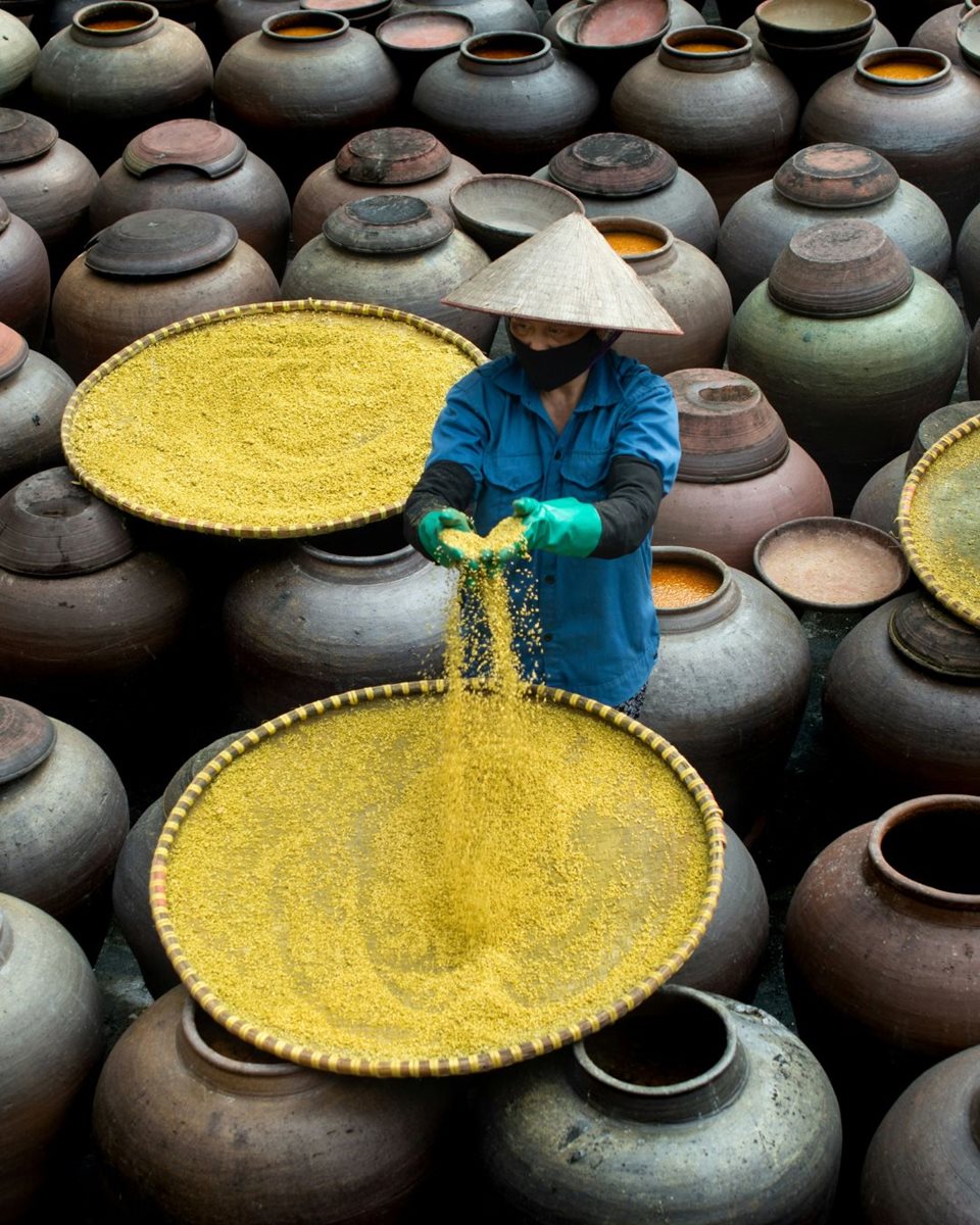 Hanoi 14