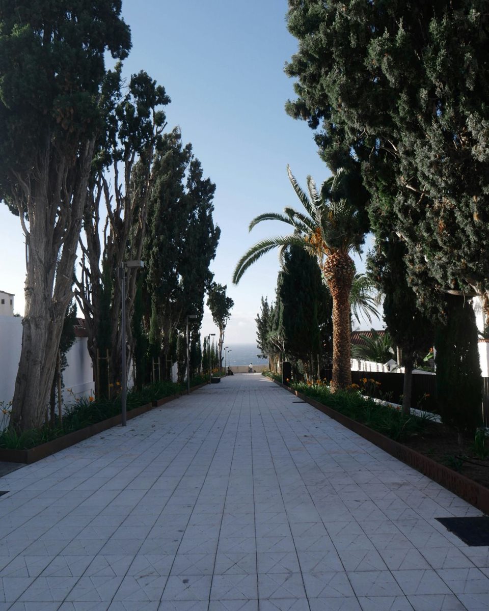 Puerto de la Cruz 18