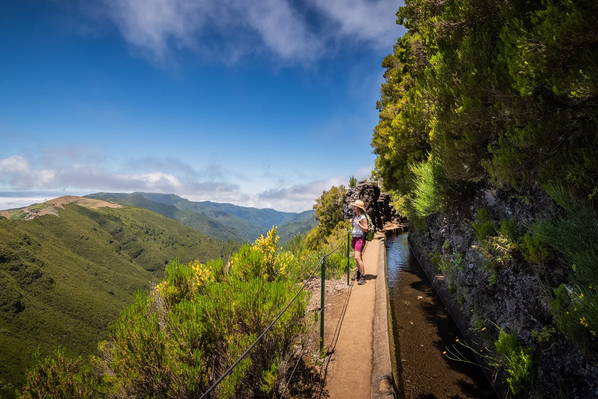 Levada do Alecrim