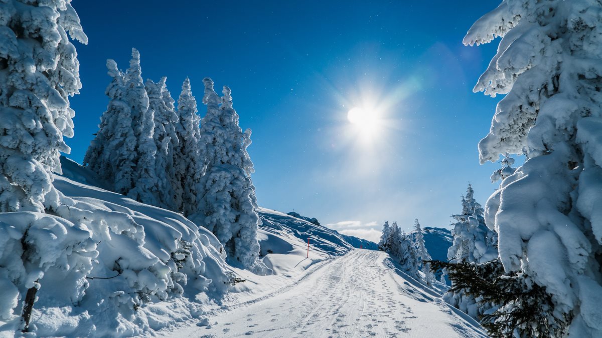 Munti Austria