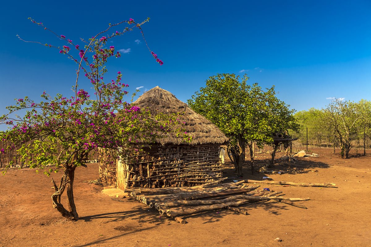 Africa de Sud 4