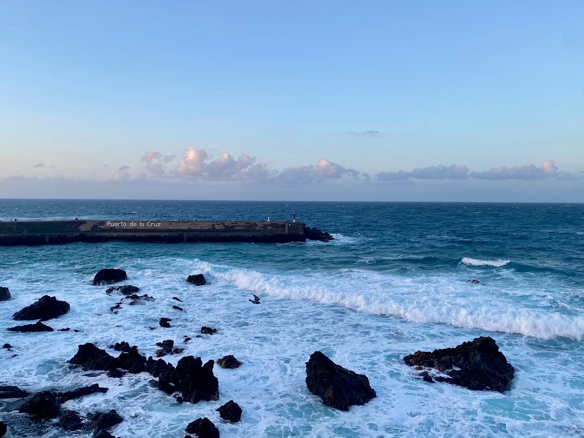 Puerto de la Cruz 20