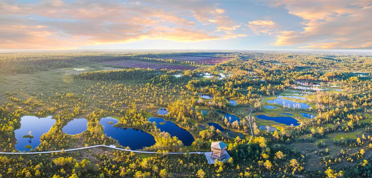 Estonia 3