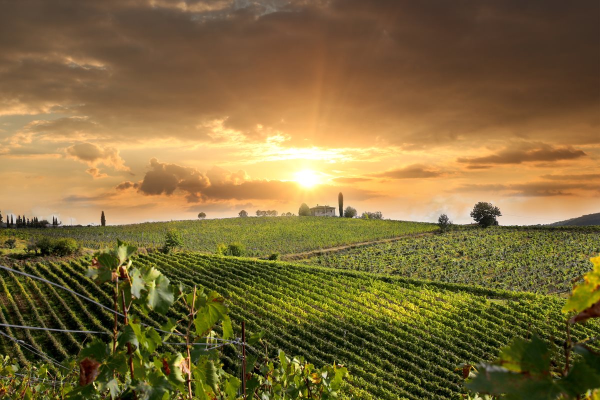 Umbria 1