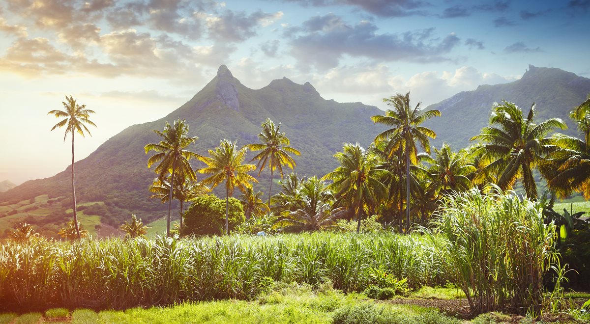 Mauritius 2