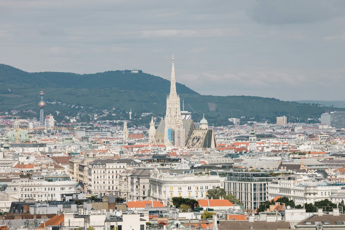 Viena 13