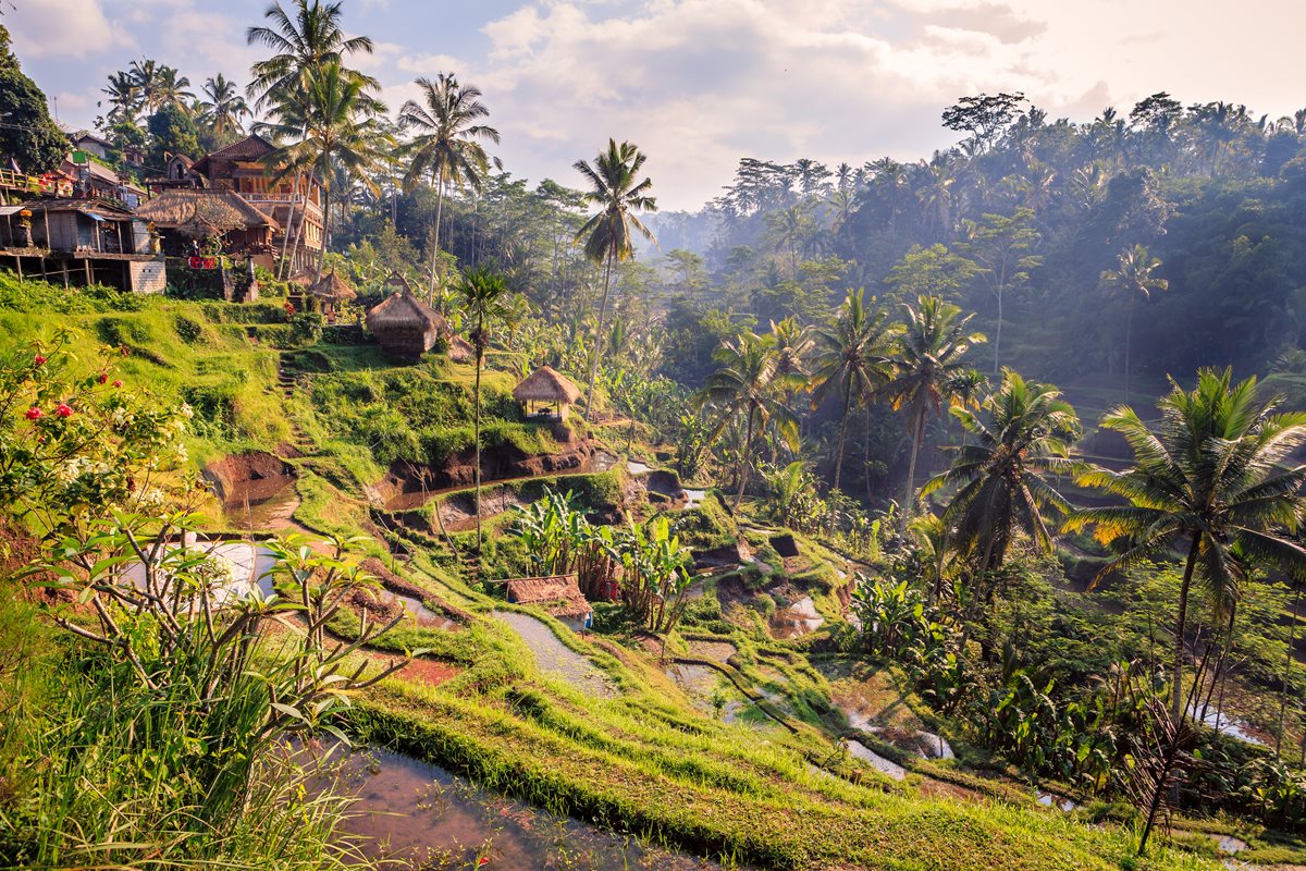 Bali 4