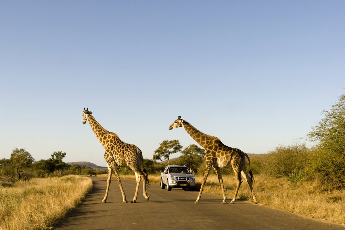 Africa de Sud