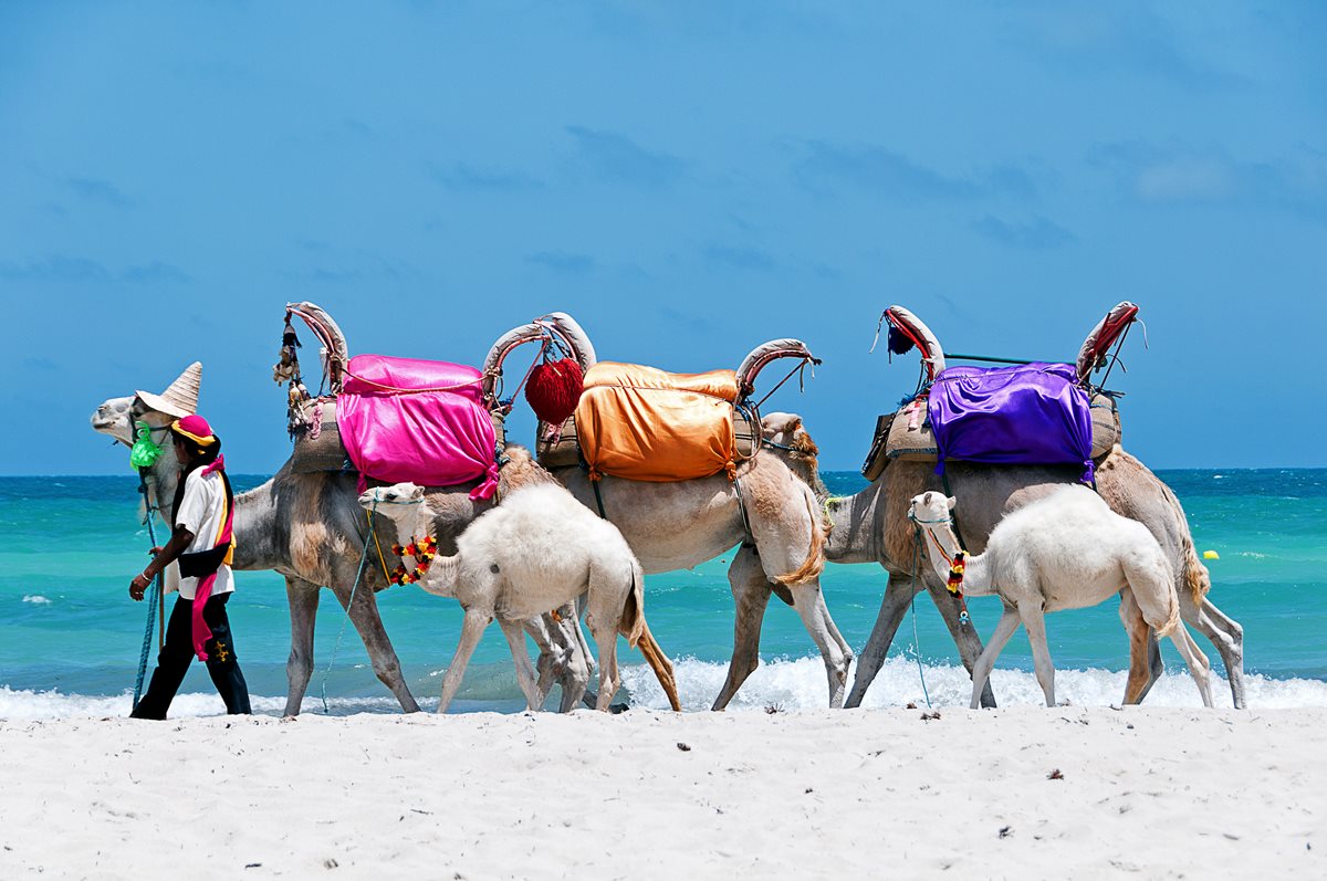Tunisia 5