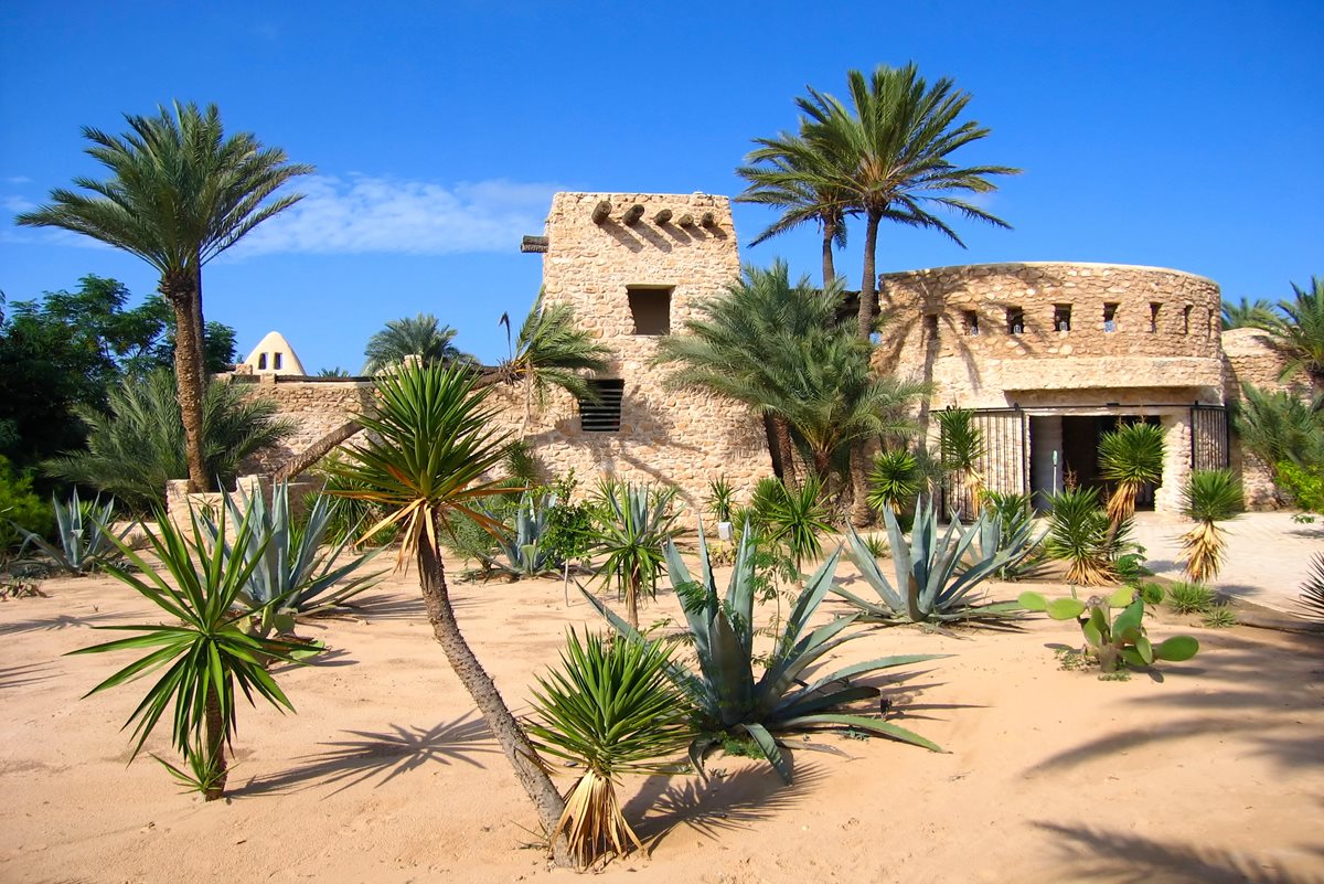 Djerba 5