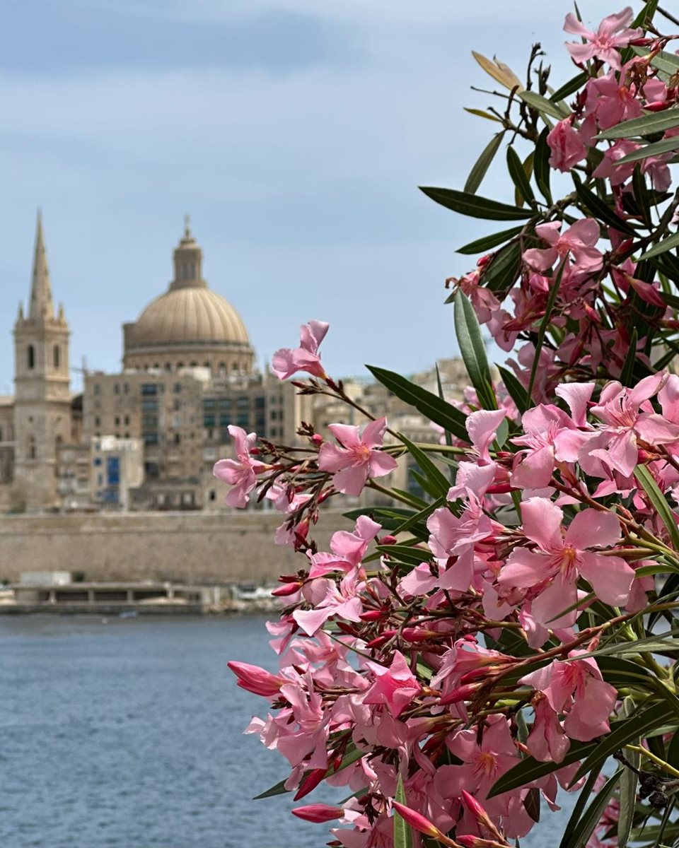 Valletta 1