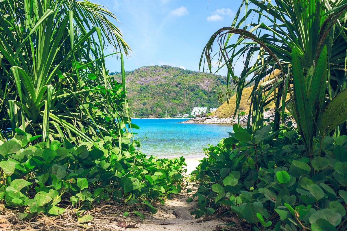 Phuket Phuket