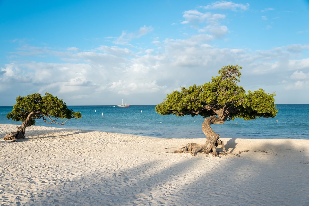 Aruba Aruba