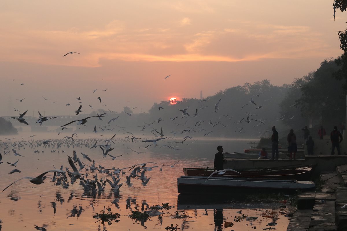 India 9