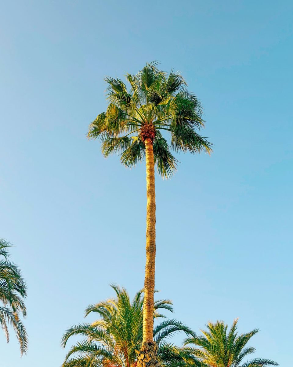 Coasta Benalmadena 4