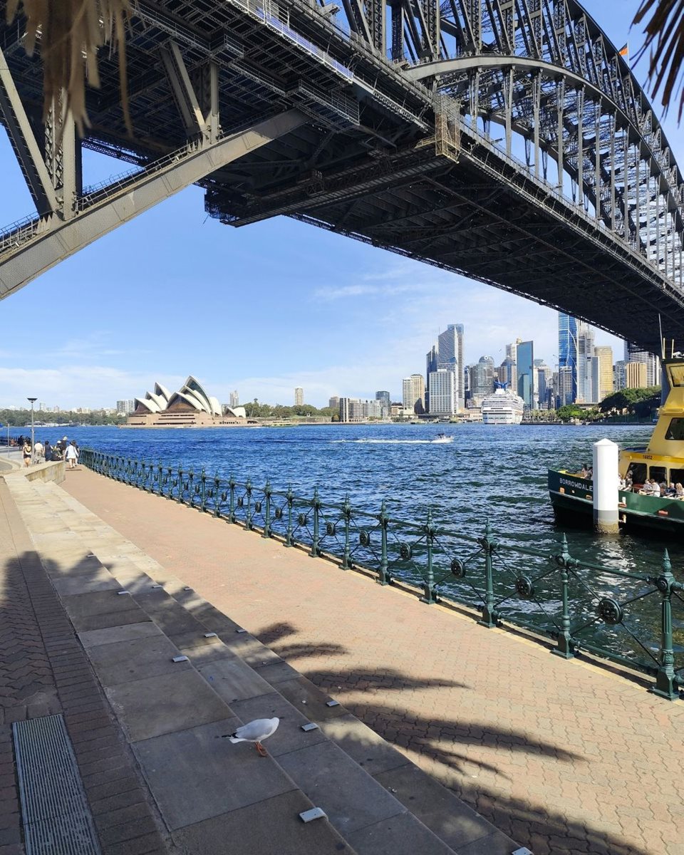 NSW 22