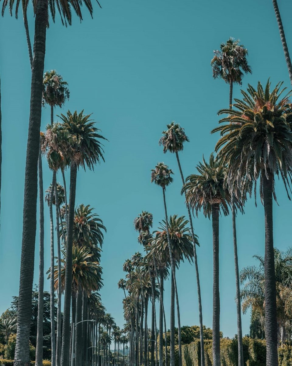 LA 1