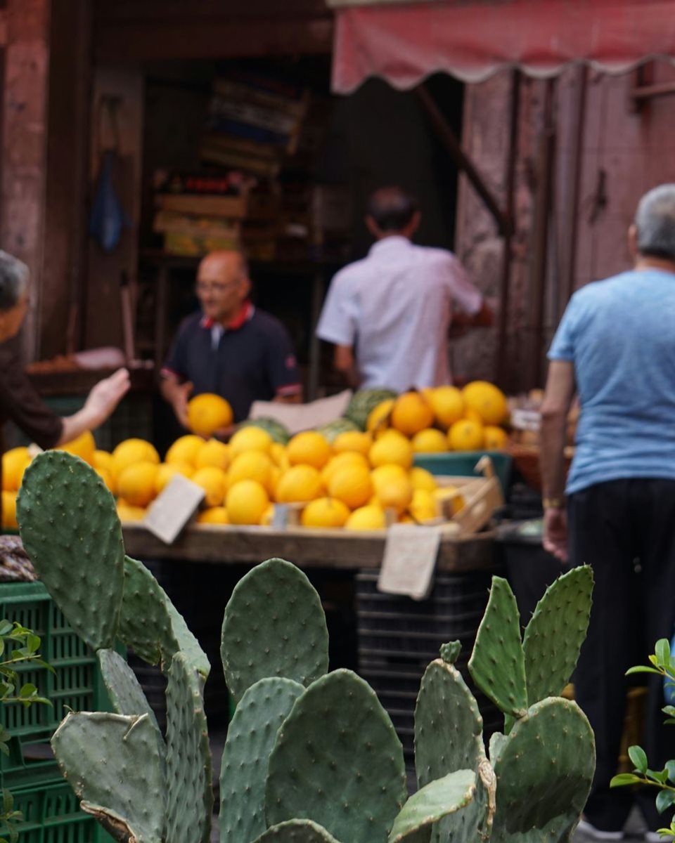 Catania 13
