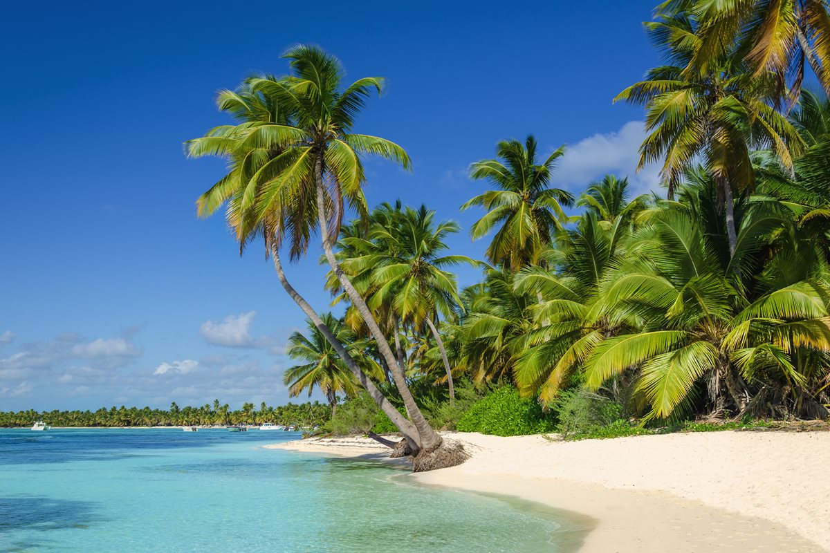 Aruba 3 Aruba 3