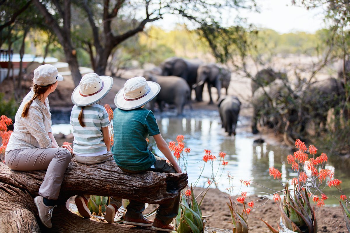 Vacanta in Kenya cu Copiii: Este o idee buna? (Sfaturi pentru un Safari Family-Friendly)