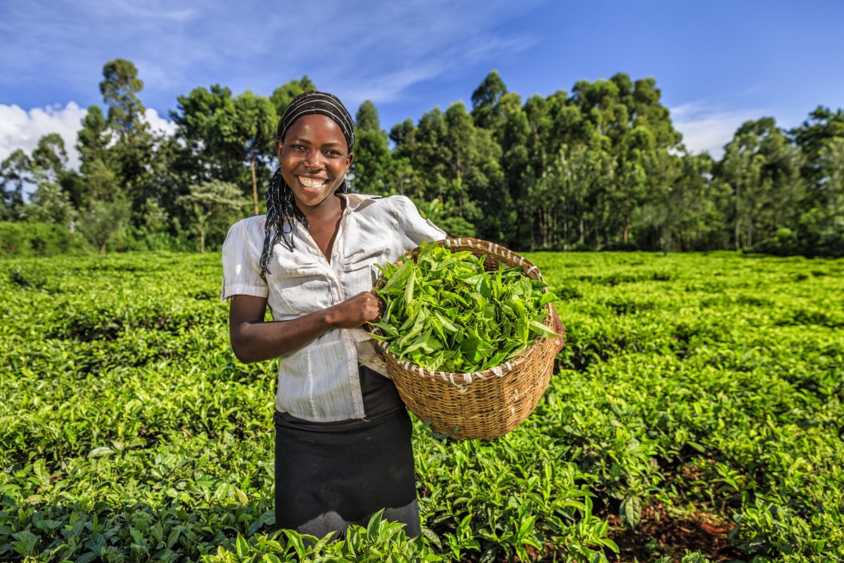 Localnici - Kenya